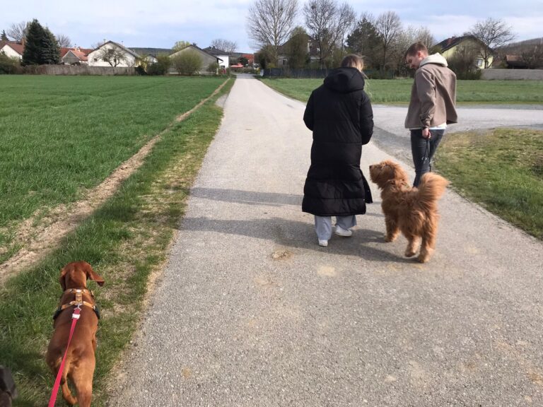 Begegnungstraining